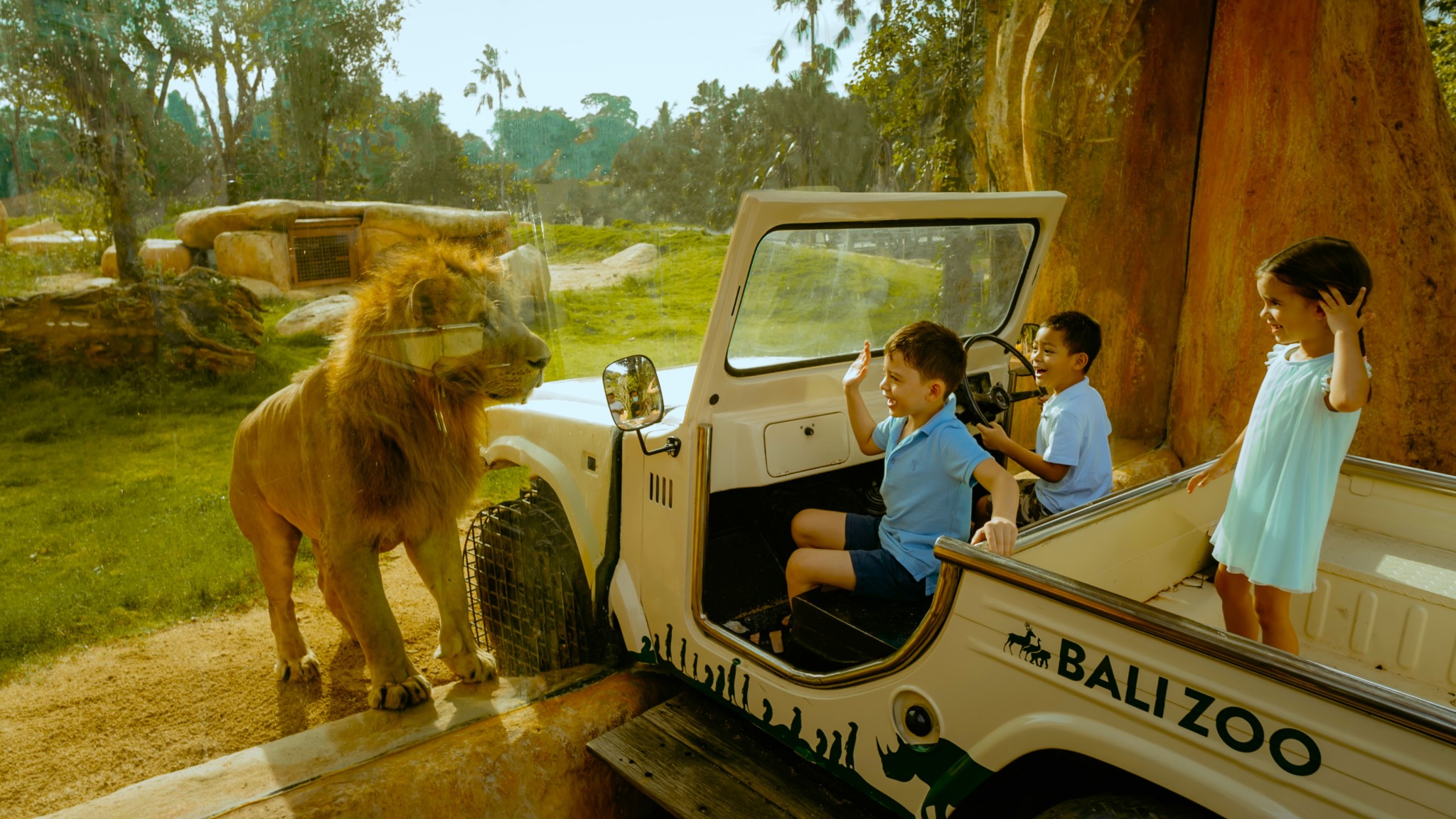 Breakfast with Orangutan at Bali Zoo & Elephant expedition